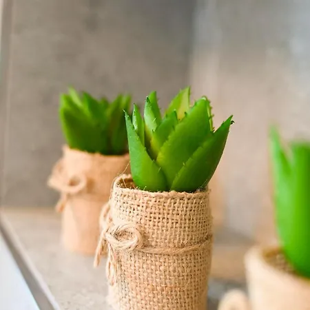 Freigeist * 플라차우