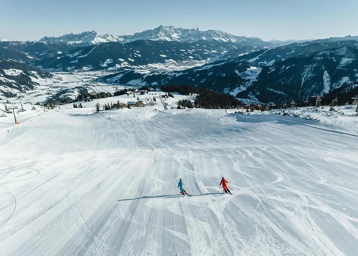 Freigeist * 플라차우