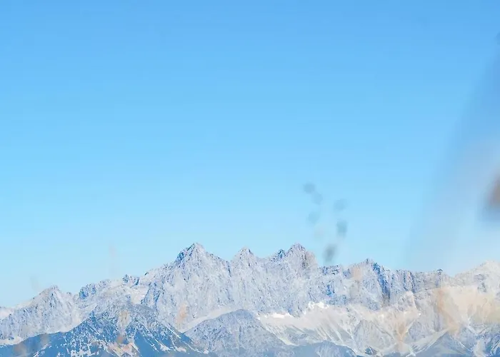 Freigeist 플라차우